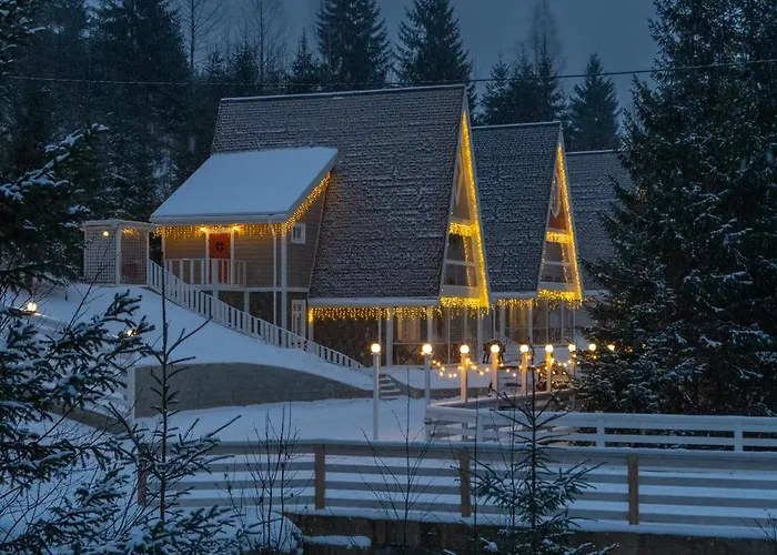 Freeman-1b двоповерховий з кухнею, альтанкою, грилем 8місний 别墅