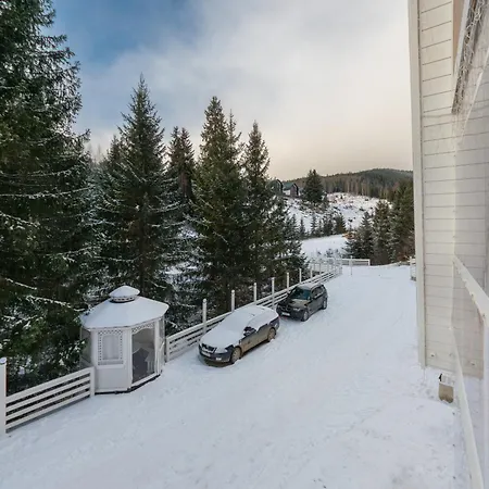 Villa Freeman-1b двоповерховий з кухнею, альтанкою, грилем 8місний Bukovel