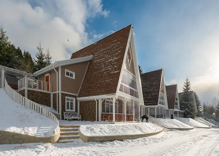 Villa Freeman-1b двоповерховий з кухнею, альтанкою, грилем 8місний *