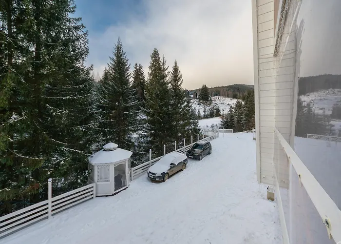 Villa Freeman-1b двоповерховий з кухнею, альтанкою, грилем 8місний Bukovel